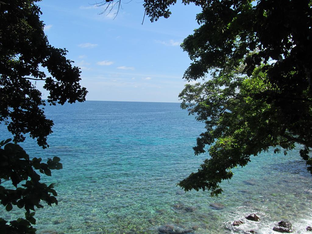 Treetop Guesthouse And Bungalows Sabang  Exterior photo